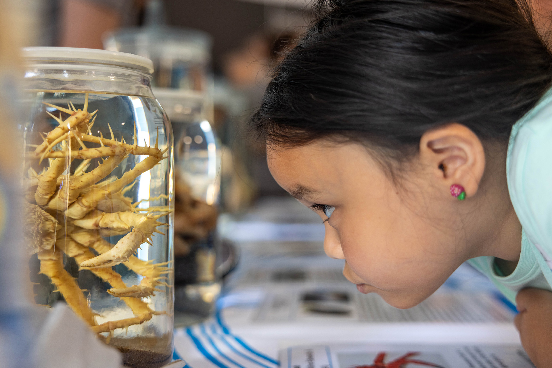 Families and learners of all ages can enjoy NOC's annual open day event