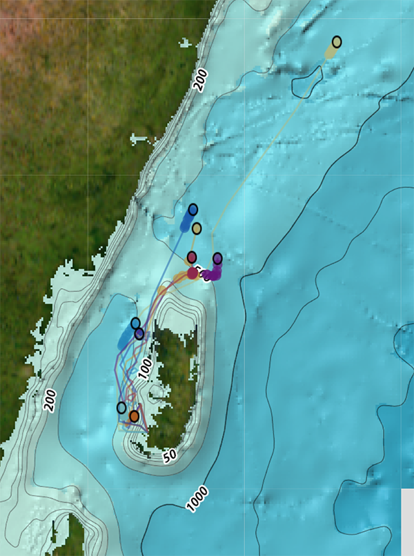 The drifters being tracked by GPS in the Pemba Channel