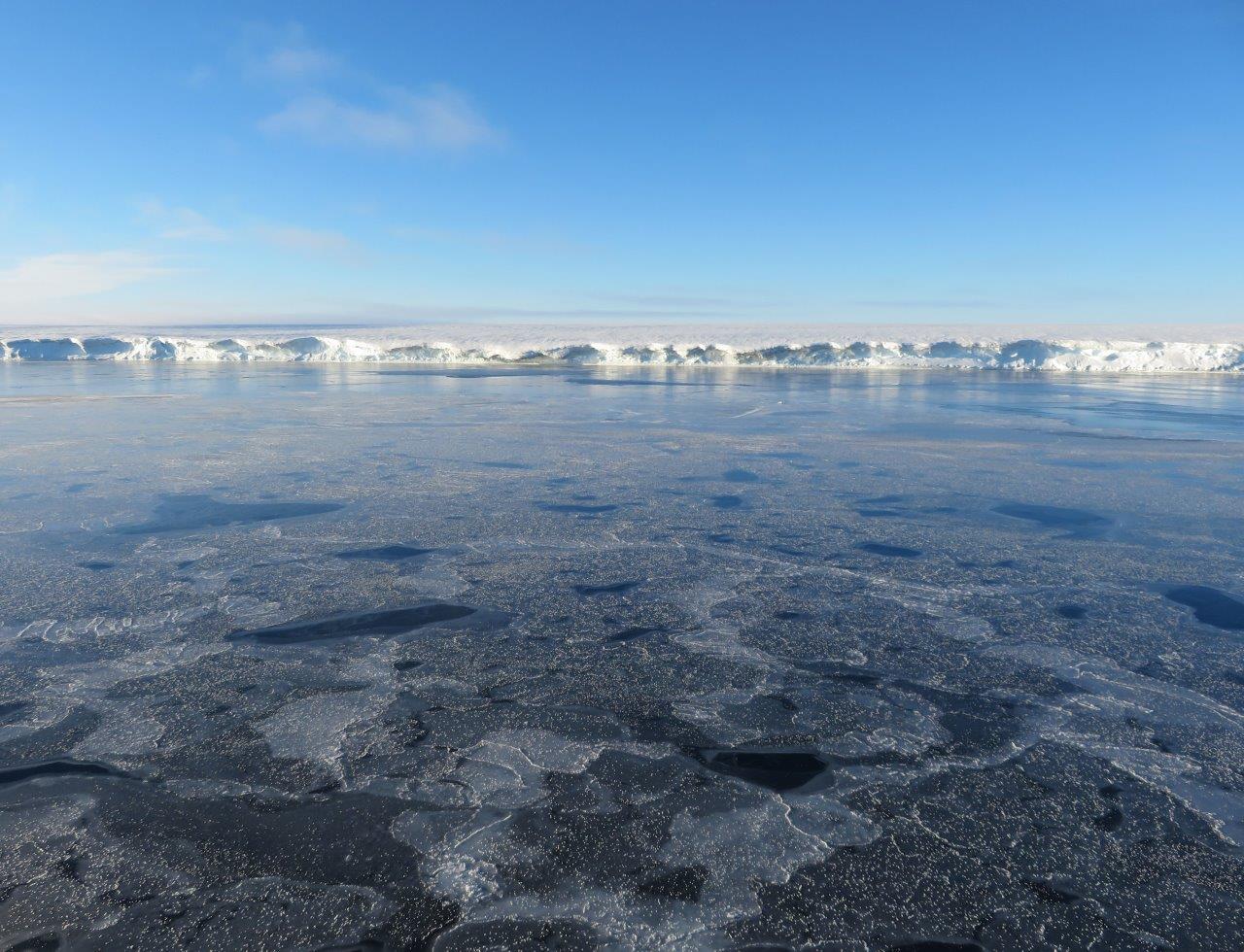 Conditions at launch