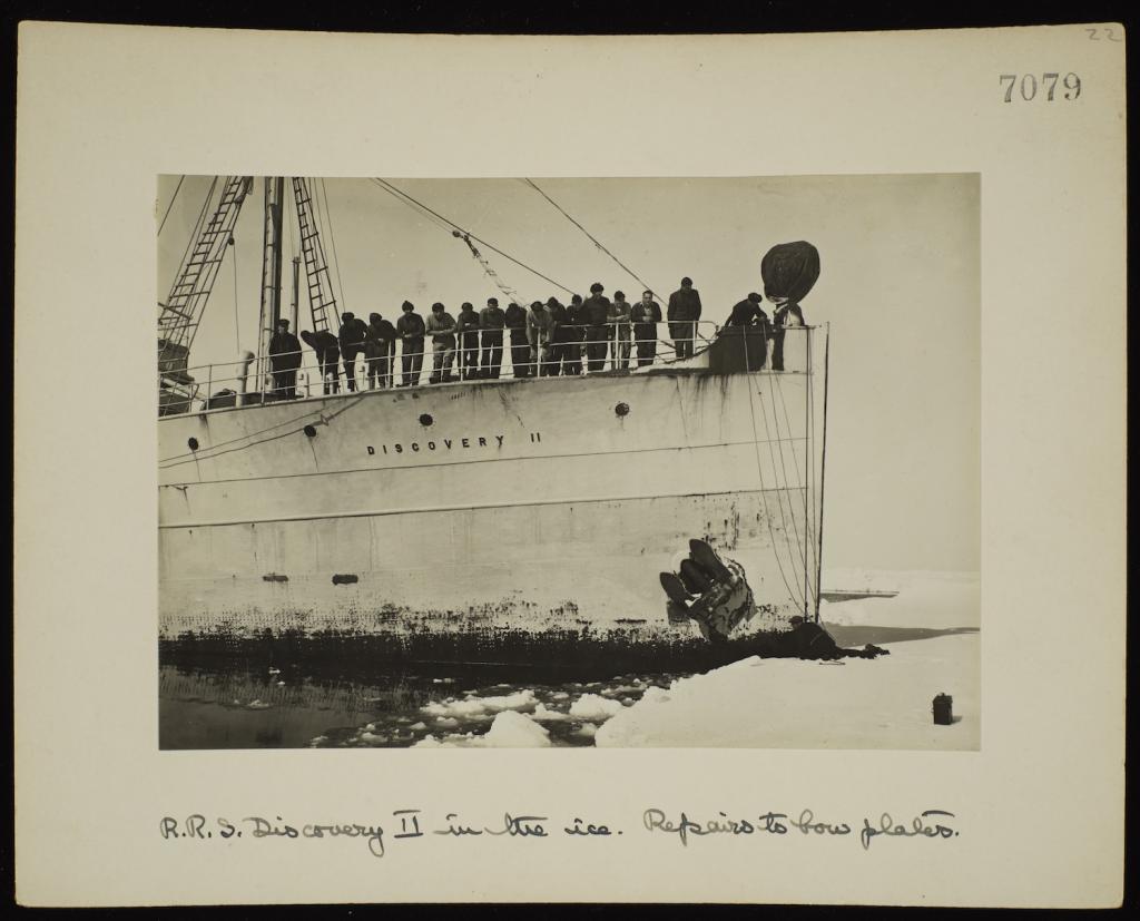 RRS Discovery II in Bellingshausen Sea