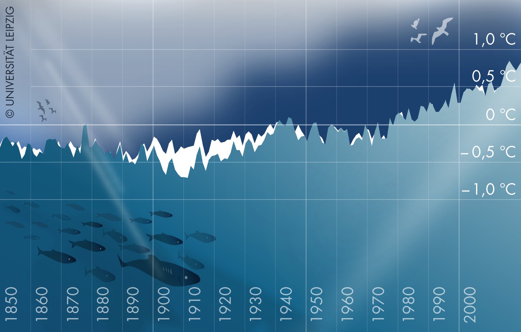Global mean and ocean surface temperatures