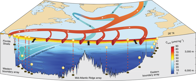 Schematic of the RAPID_MOCHA_WBTS Array