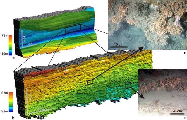Sideways multibeam mapping examples
