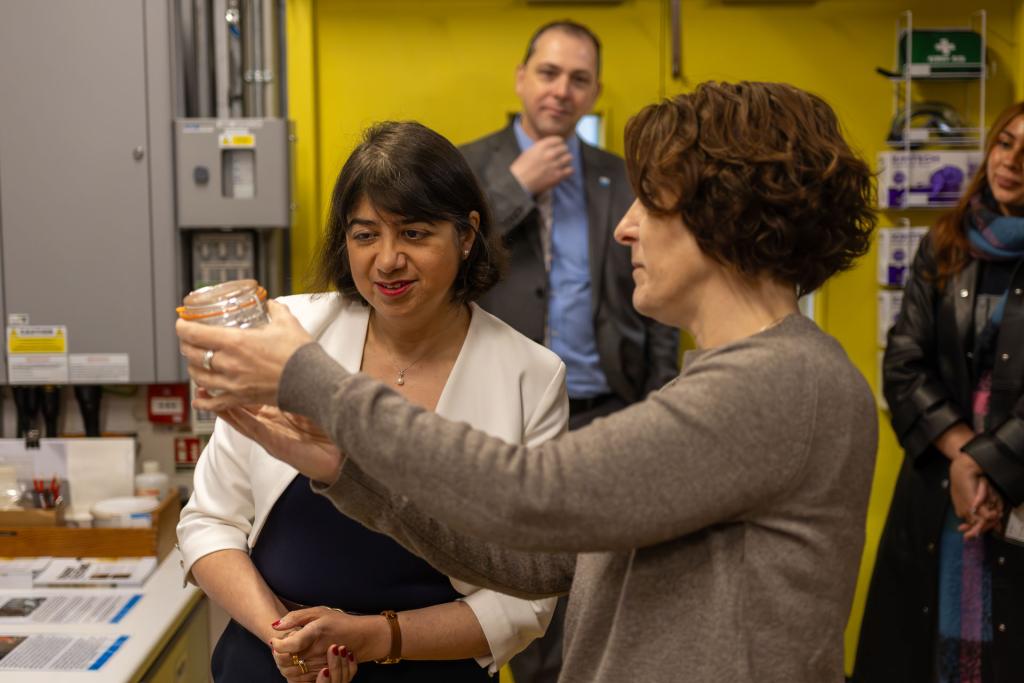 Minister Seema Malhotra