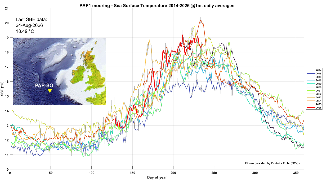 PAP Sea Surface Temperature Graph as of 24 August 2026