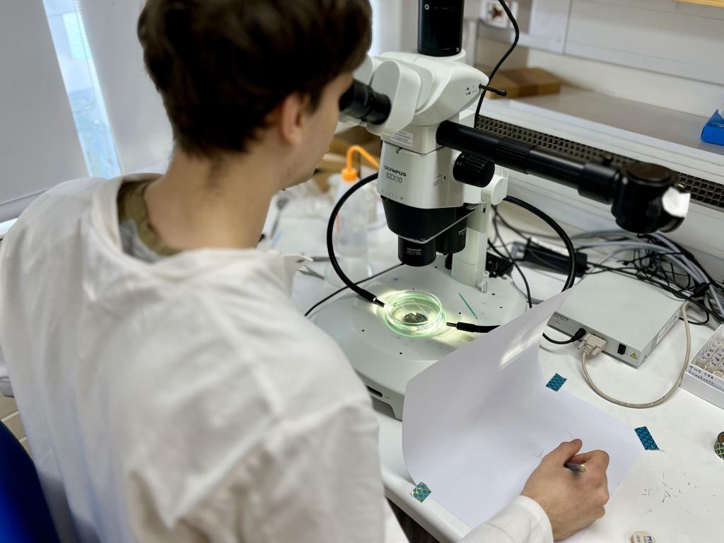 Ben Walker working in a laboratory