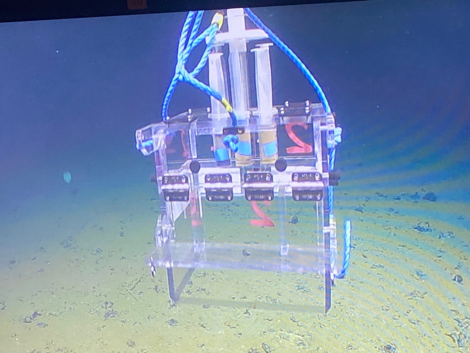 Benthic Cube deployment