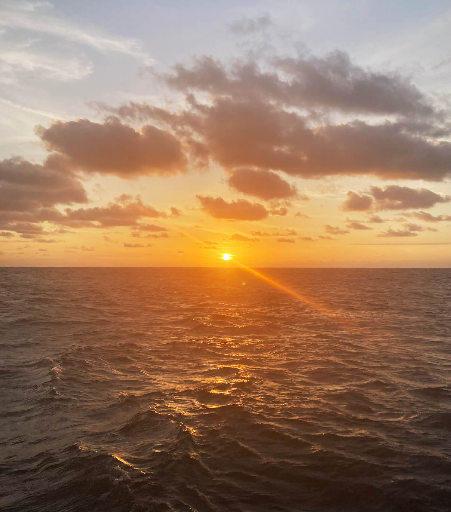 CCZ at dawn