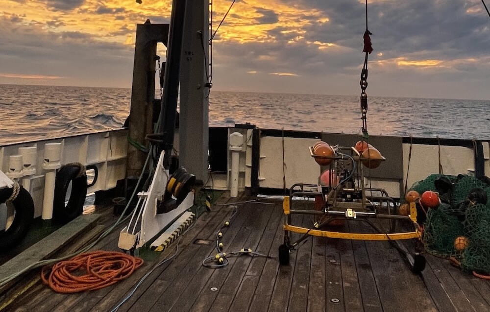 Epibenthic camera