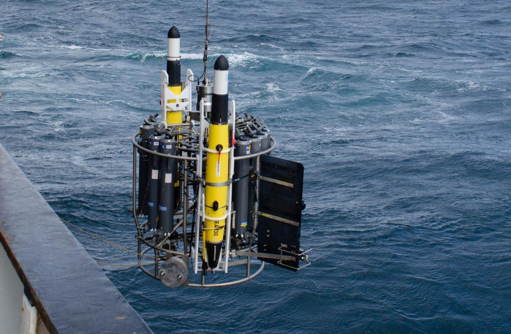 Gliders and a CTD rosette