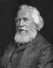 Ernst Haekel