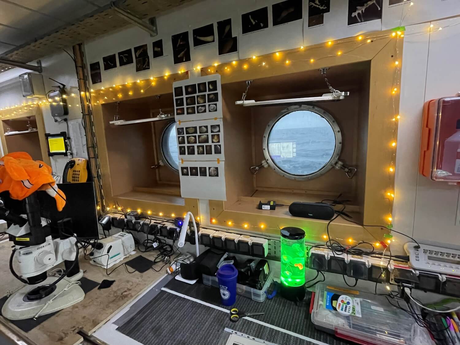 Lab decoration