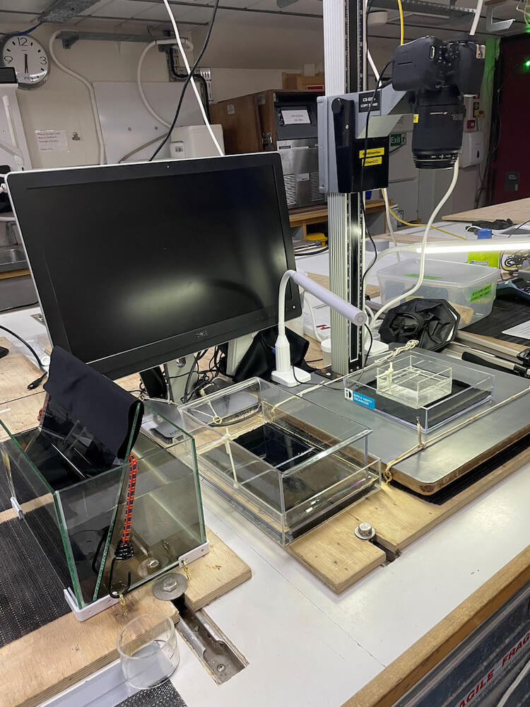 Microscope setup