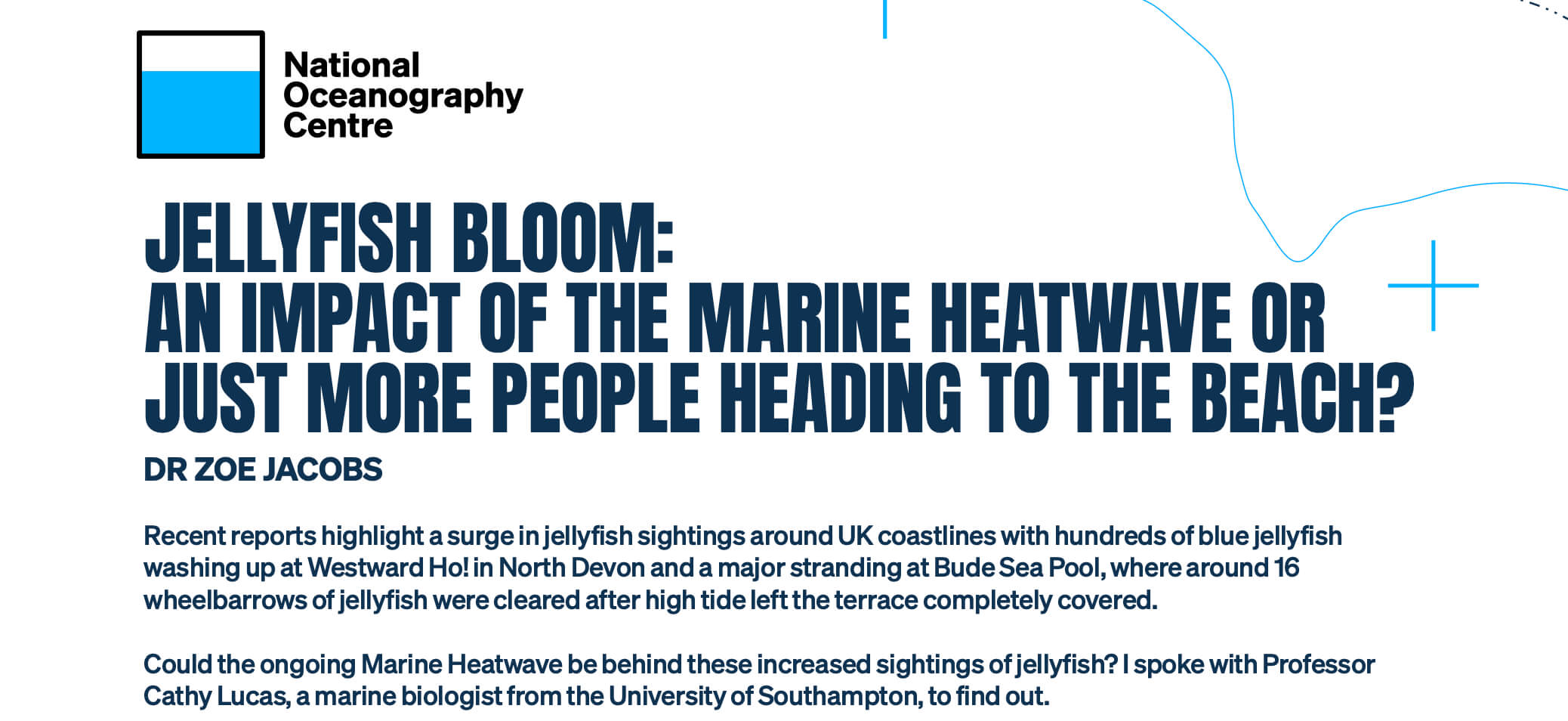 Jellyfish bloom report