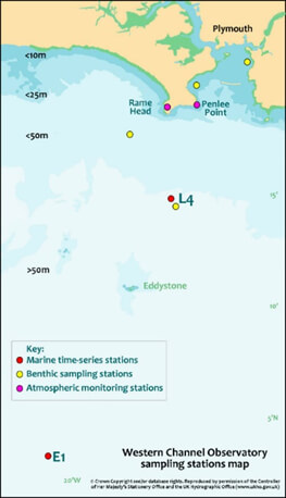 L4 service station location