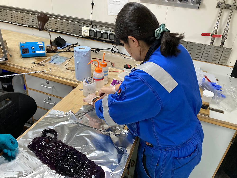 Lab sample preparation