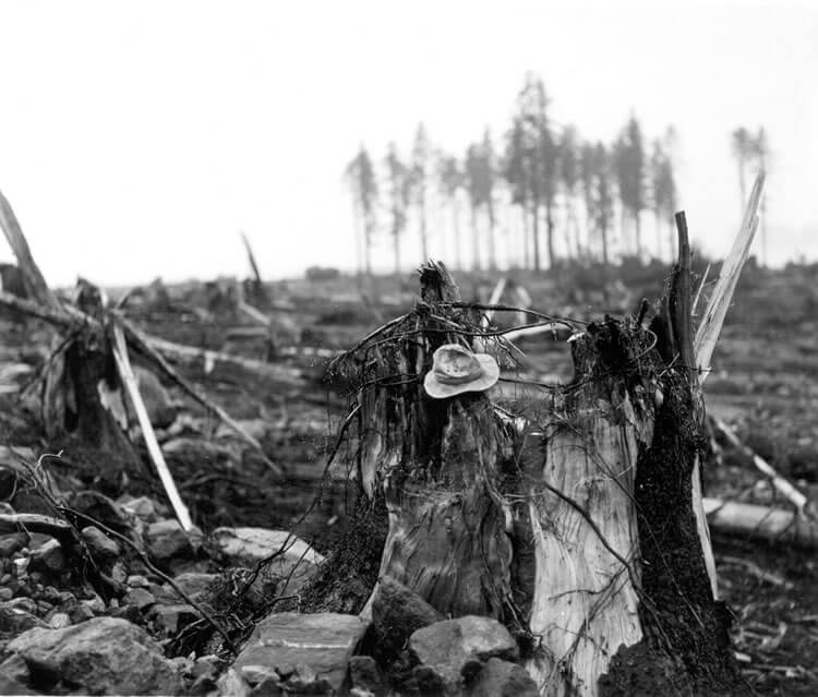 Aftermath in Lituya Bay