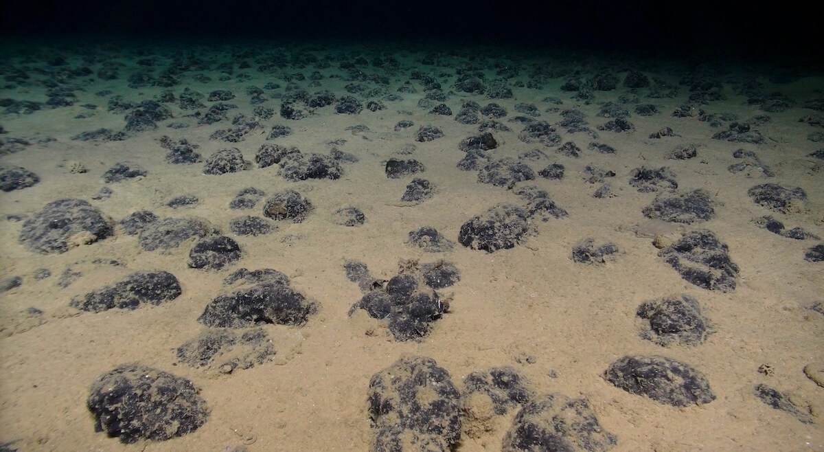 Polymetallic nodules