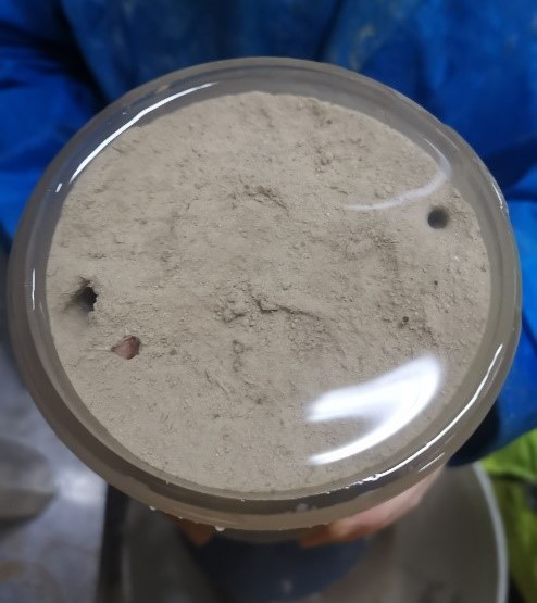 Sediment core