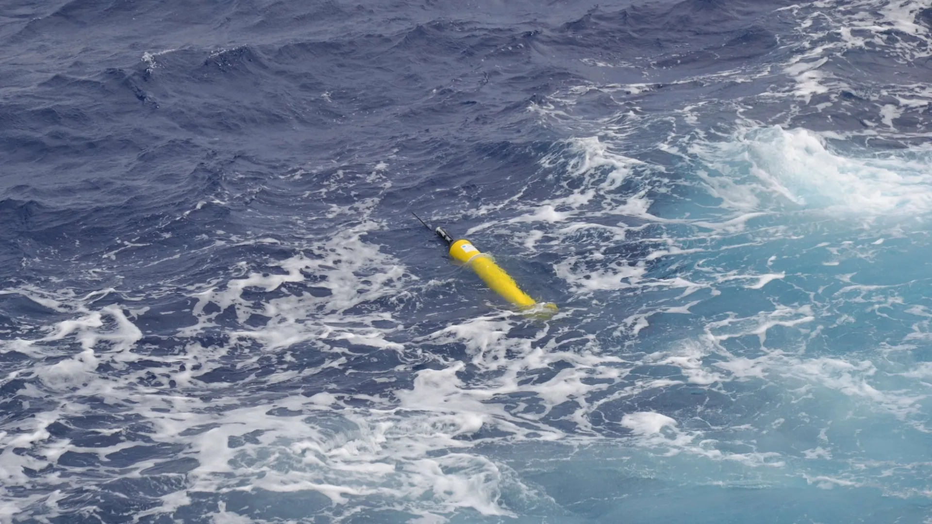 Observing Networks and Systems