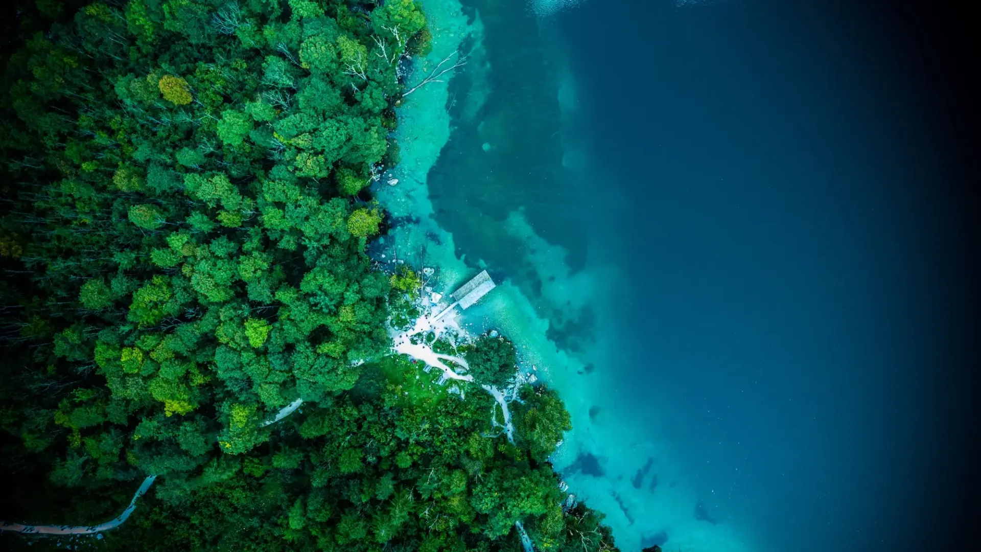 Climate Change and the Ocean