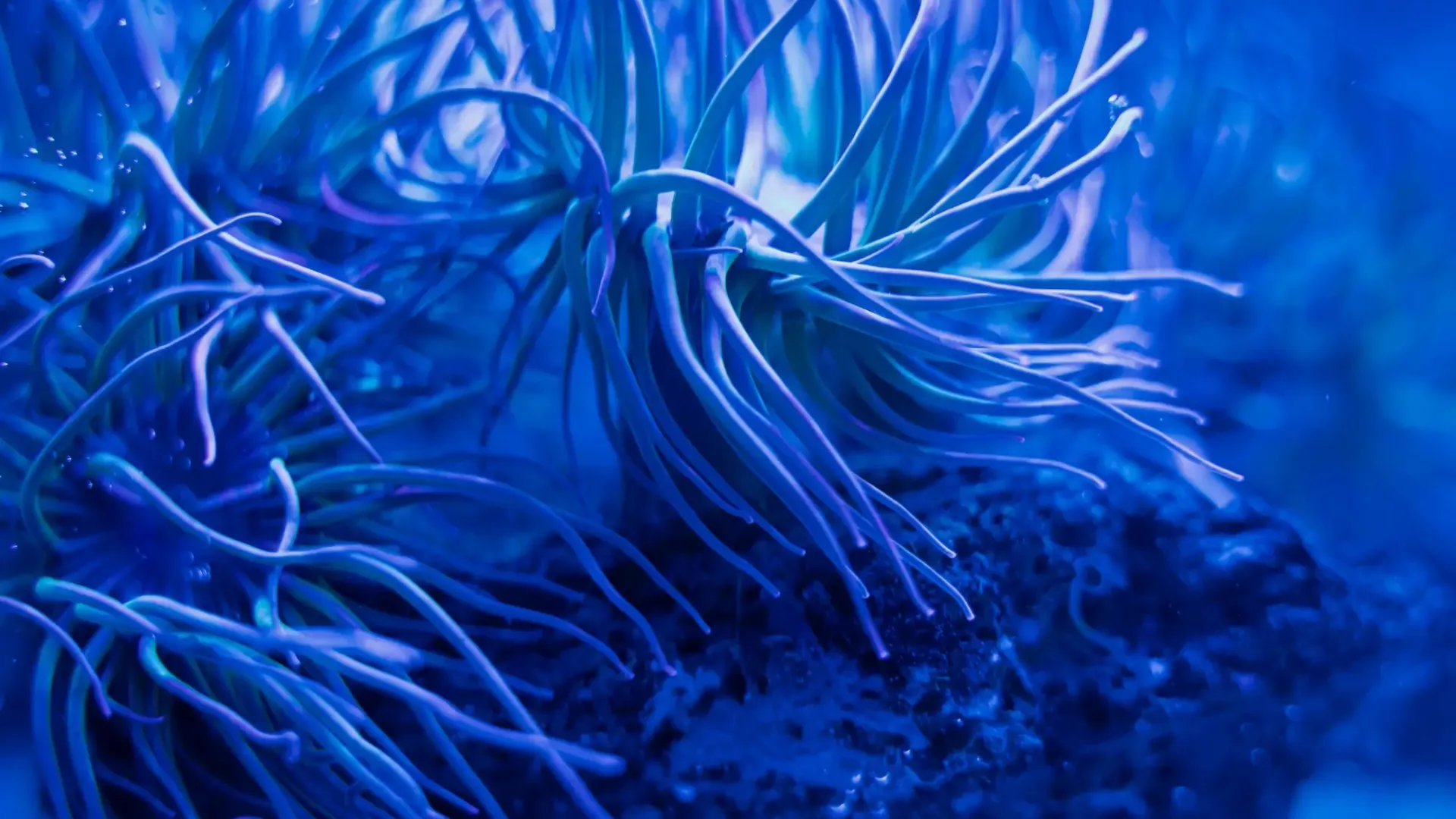 Doctoral Training Partners