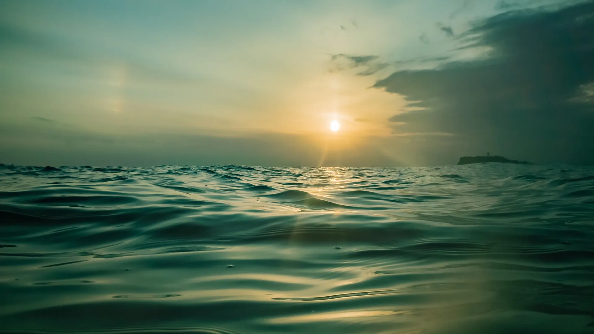 Carbon Dioxide Removal