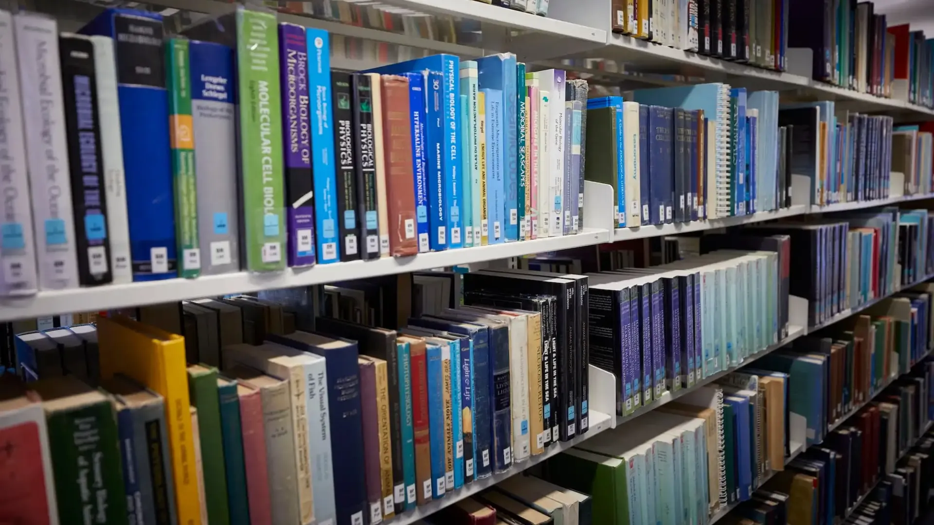 National Oceanographic Library