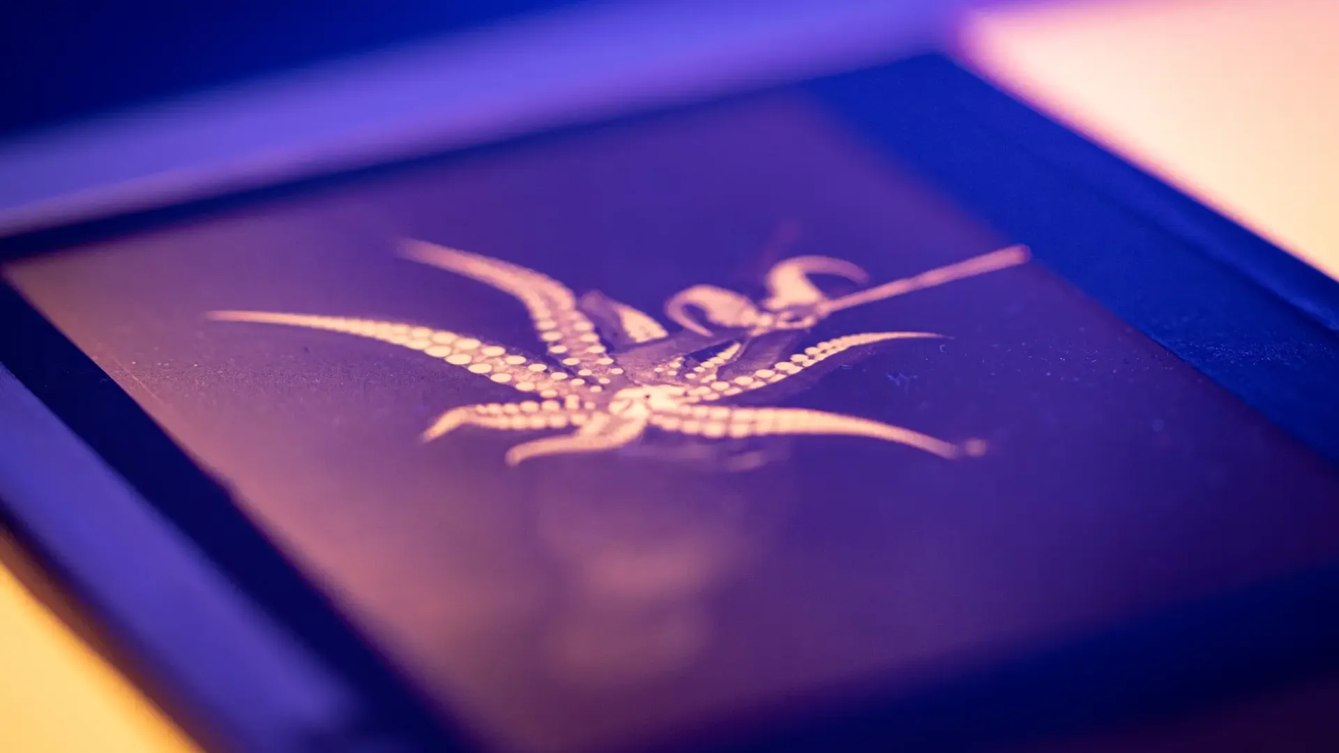 History and Collections