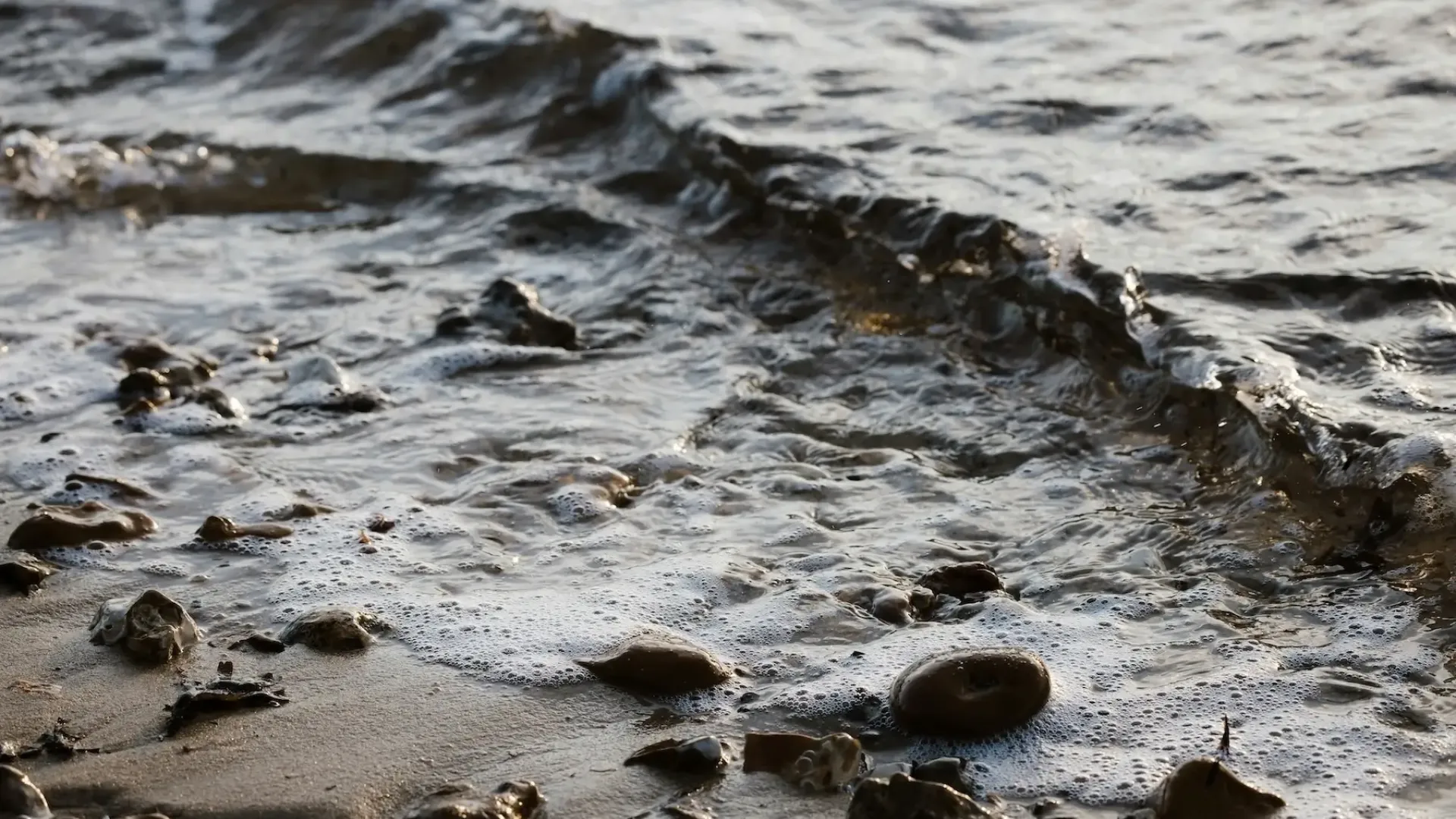 Tides Explained