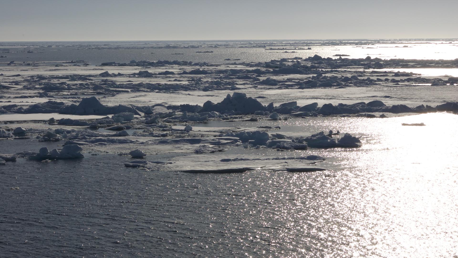 Arctic winter sea ice returns to significant decline