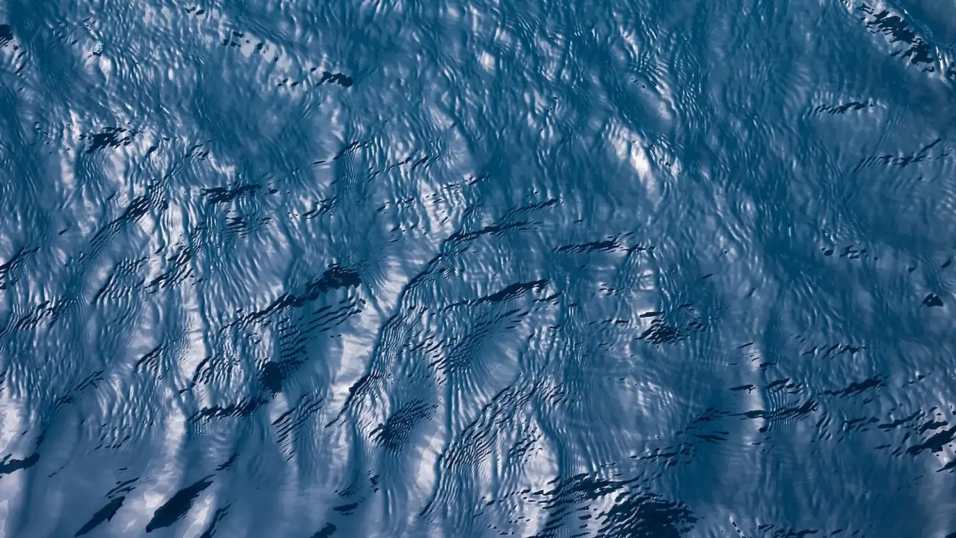 NOC first to lead collection of marine genetic resources under BBNJ agreement