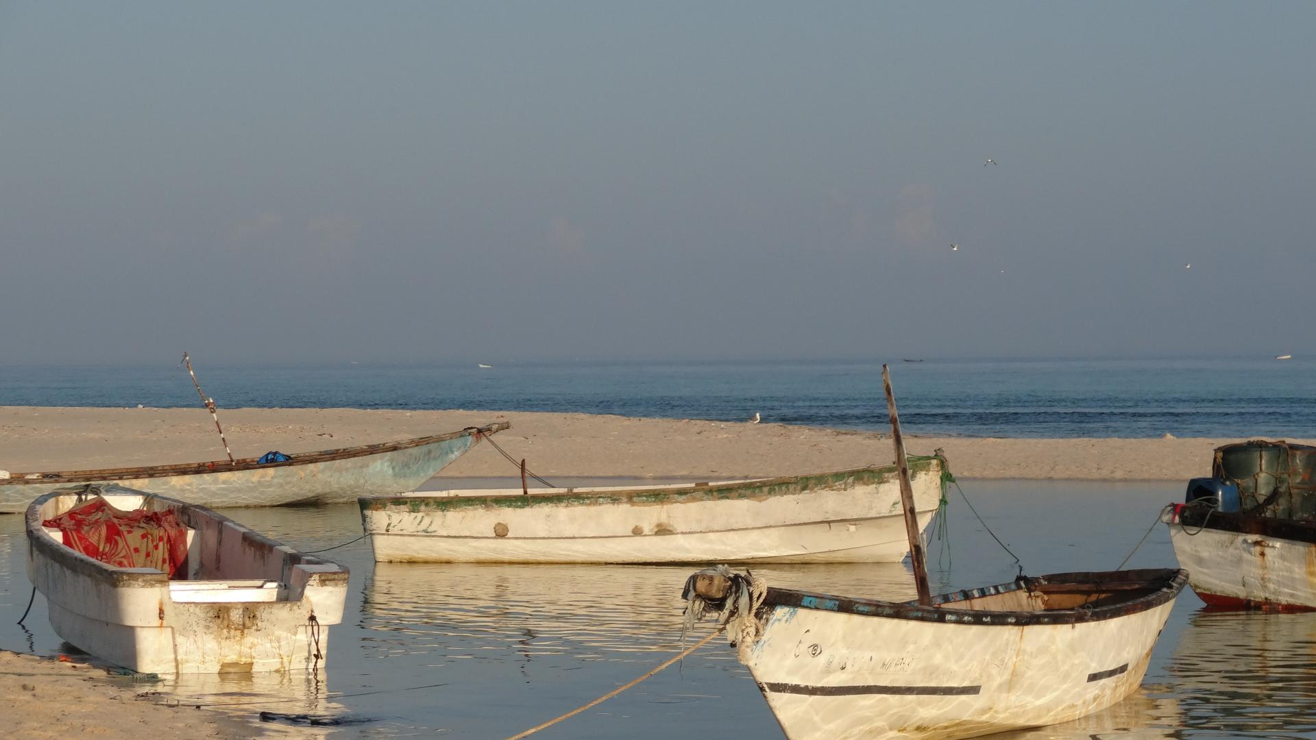 Climate change threatens Somalia's offshore fisheries, but coastal fleet may be spared, study finds