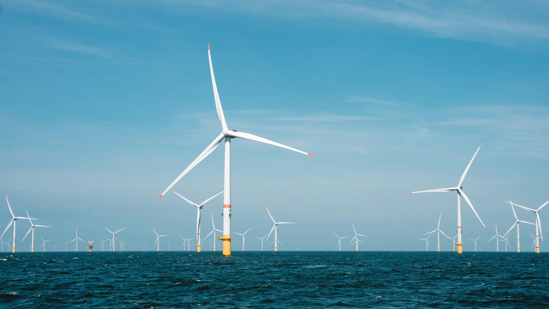 Study reveals influence of offshore wind farms on ocean temperatures  