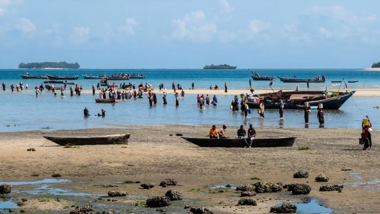 Coastal Community Fishing Beach