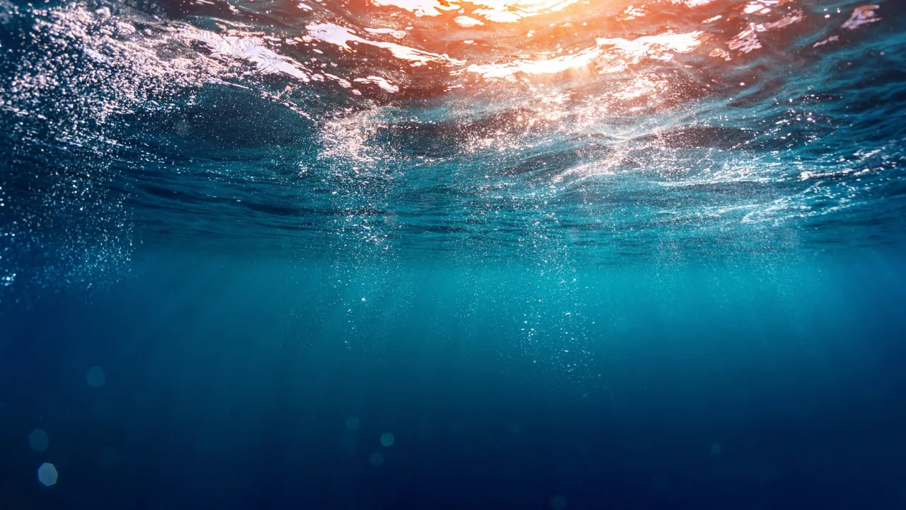 Heat and Freshwater image
