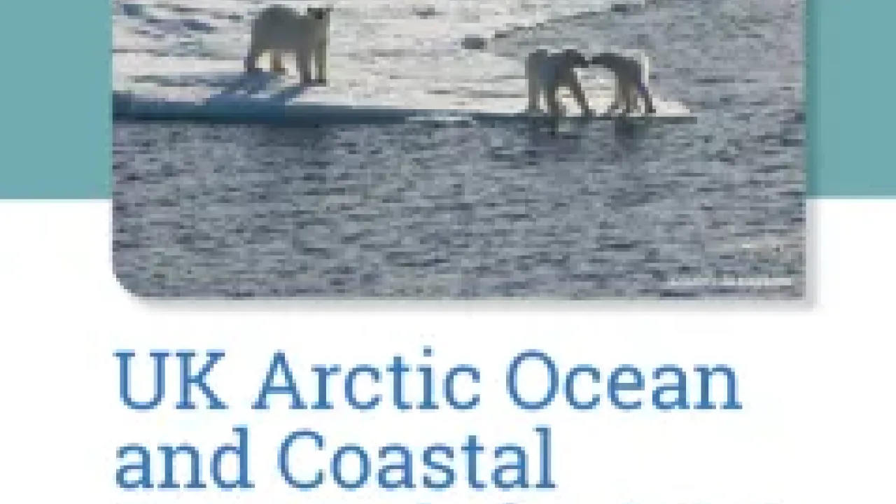 UK Arctic Ocean and Coastal Research Report