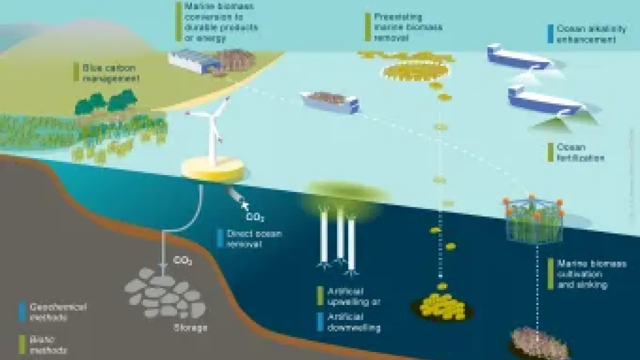 chematic overview of marine carbon dioxide removal (mCDR) methods included in this Future Science Brief from the European Marine Board. Credit: Rita Erven, GEOMAR (CC BY 4.0)