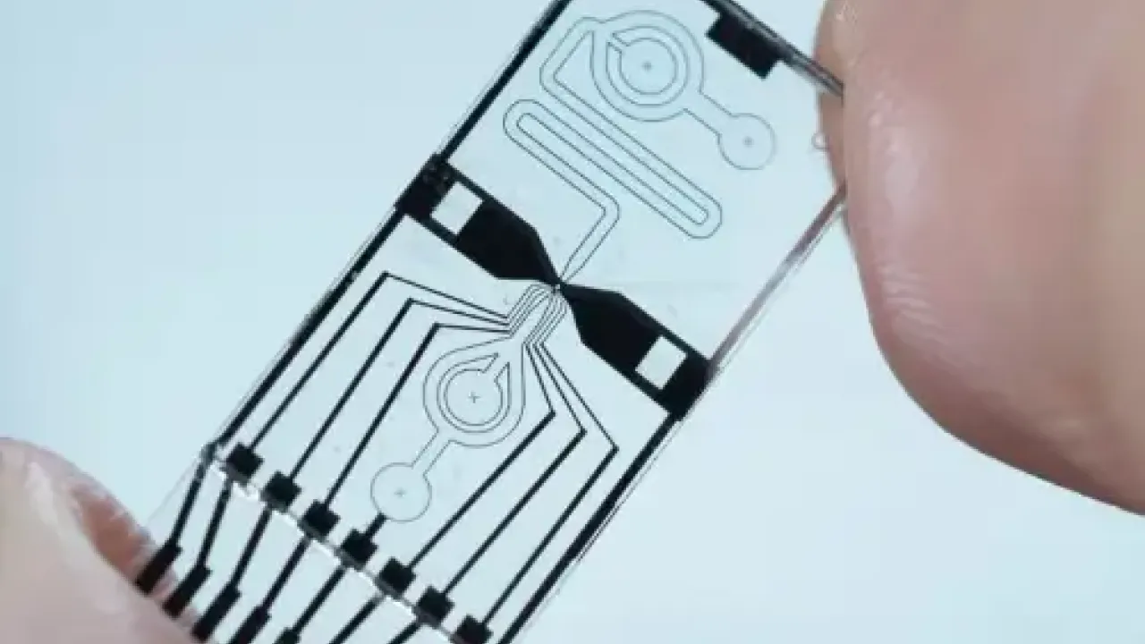 Cytometer chip