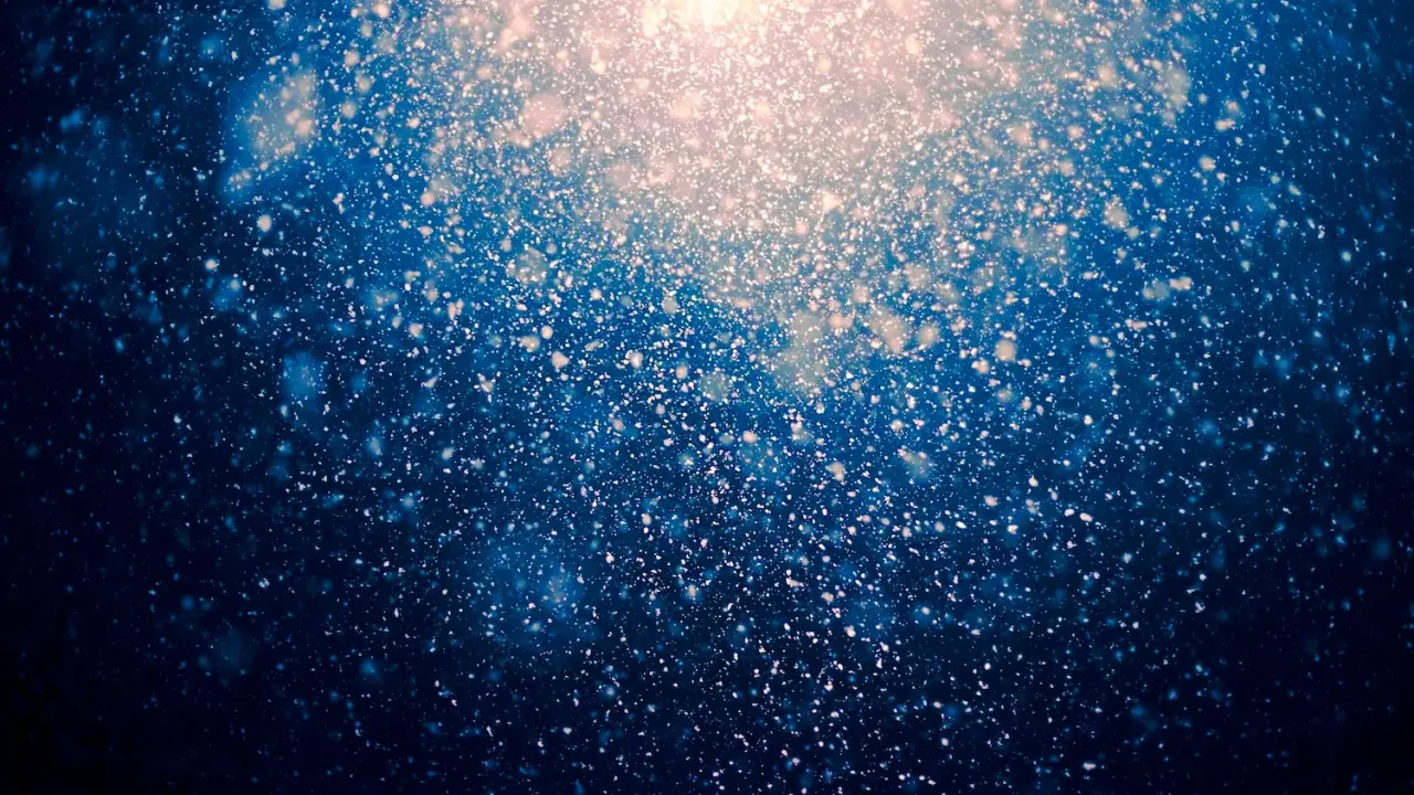 Marine snow falling in the depth of the ocean