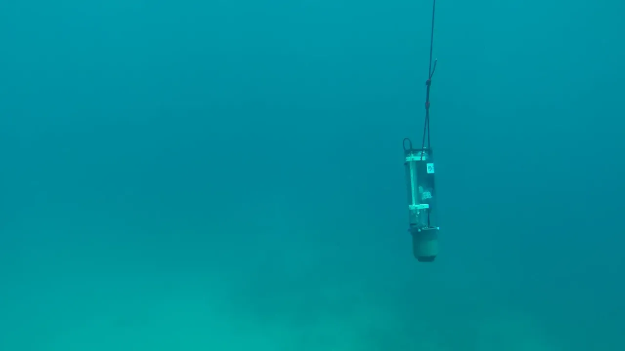 Nutrient sensor underwater