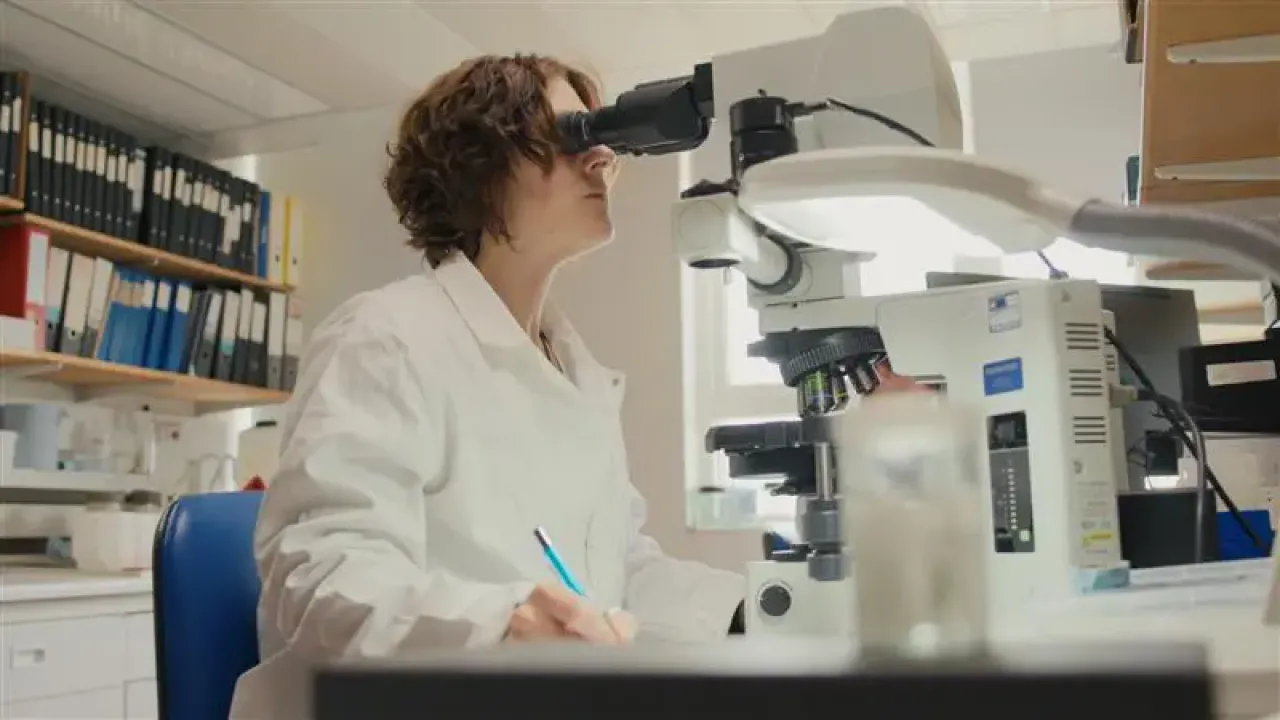 Tammy Horton using microscope
