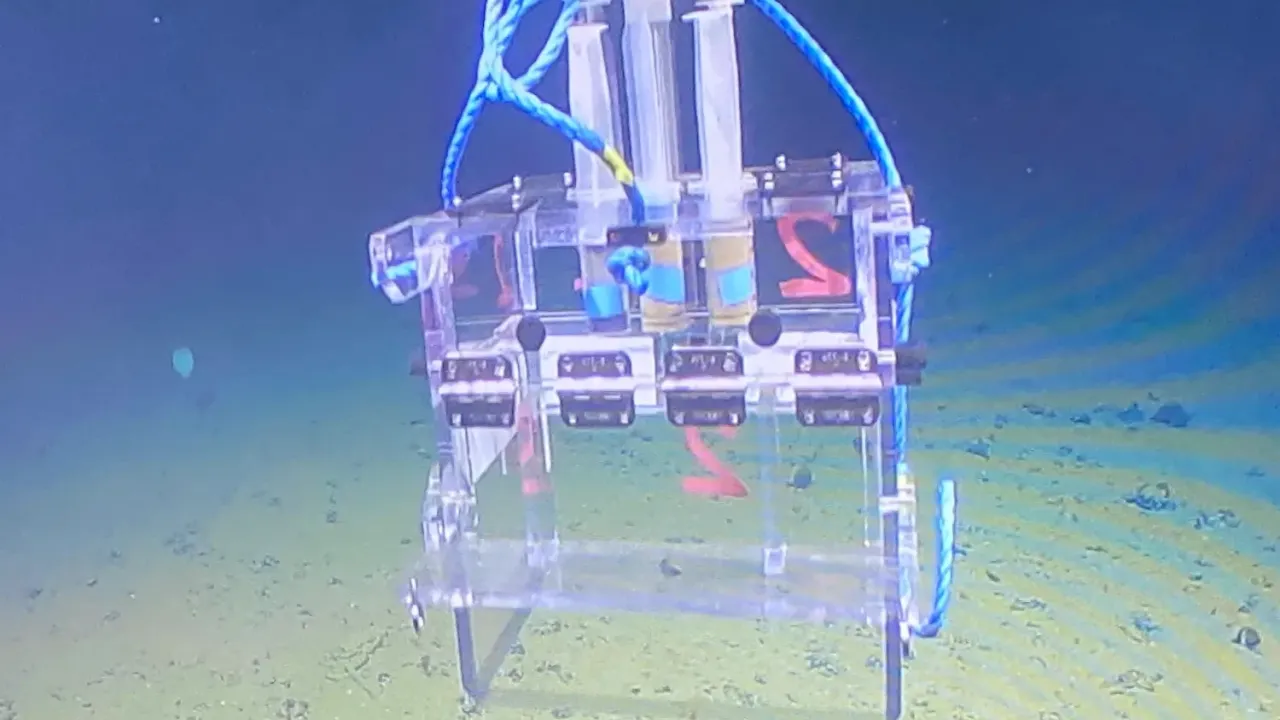 Benthic cube deployment