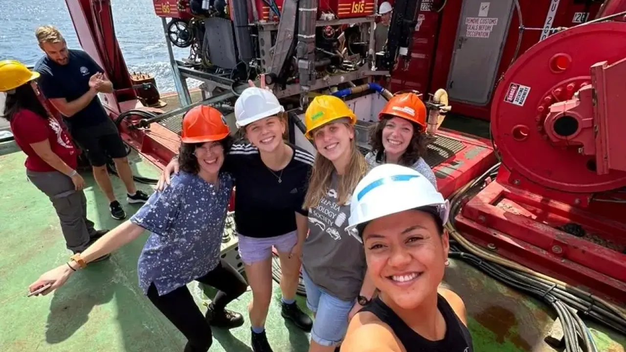 Early career researchers at SMARTEX