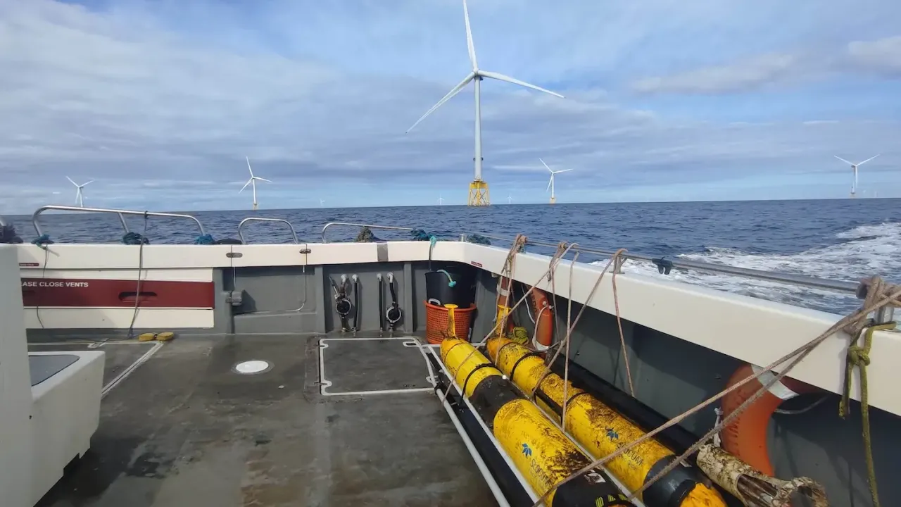 Ocean gliders during the PELAgIO project