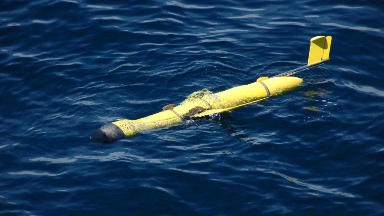 Marine heatwave triggers hidden phytoplankton response beneath North Sea surface