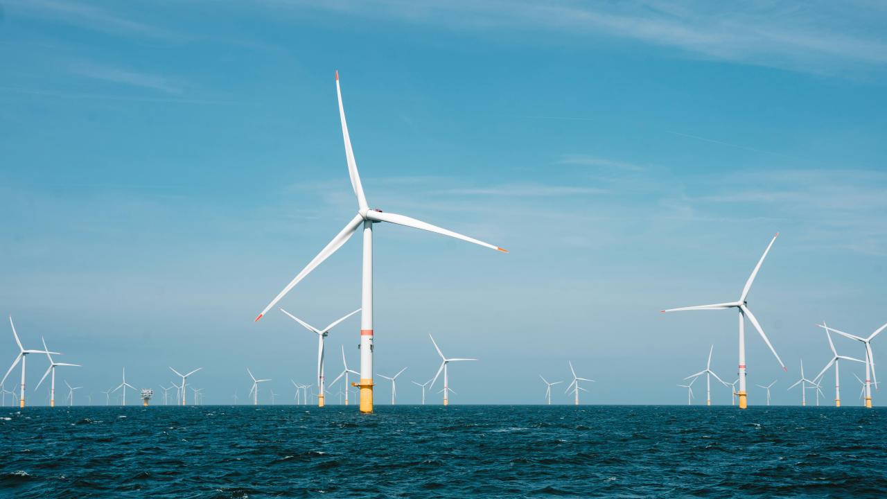 Image of a wind farm at sea.