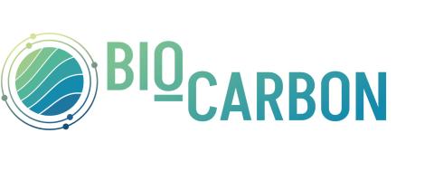 bio-carbon logo