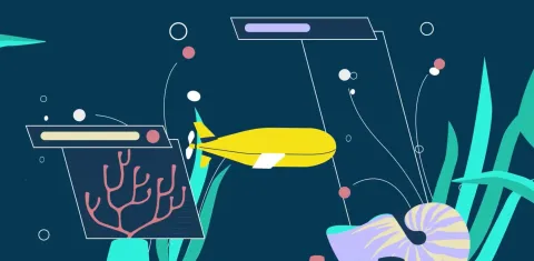 Net Zero Targets Established