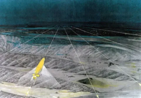 Doggie and Dolphin - University College, London